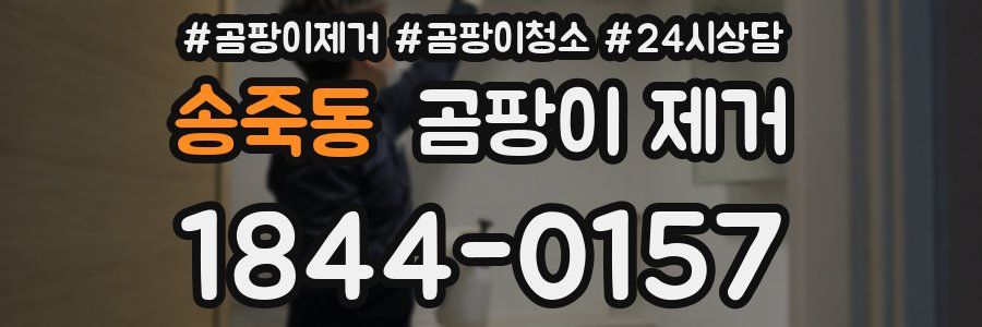 송죽동 곰팡이 제거