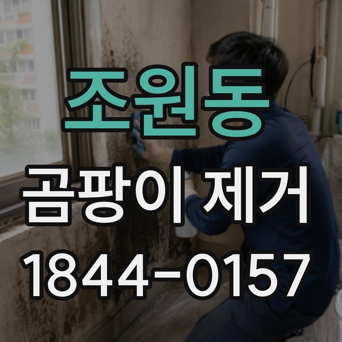 조원동 곰팡이 제거 곰팡이 발생 위치별 원인과 조치