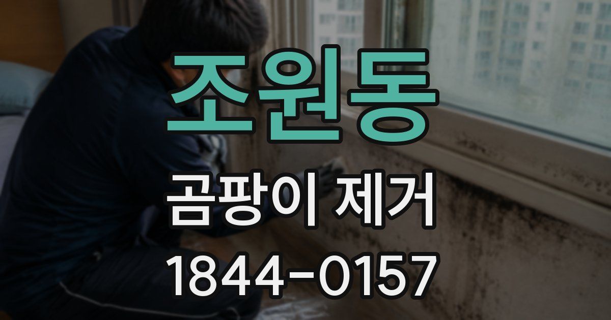 조원동 곰팡이 제거