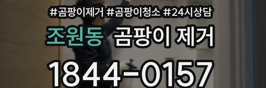 조원동 곰팡이 제거