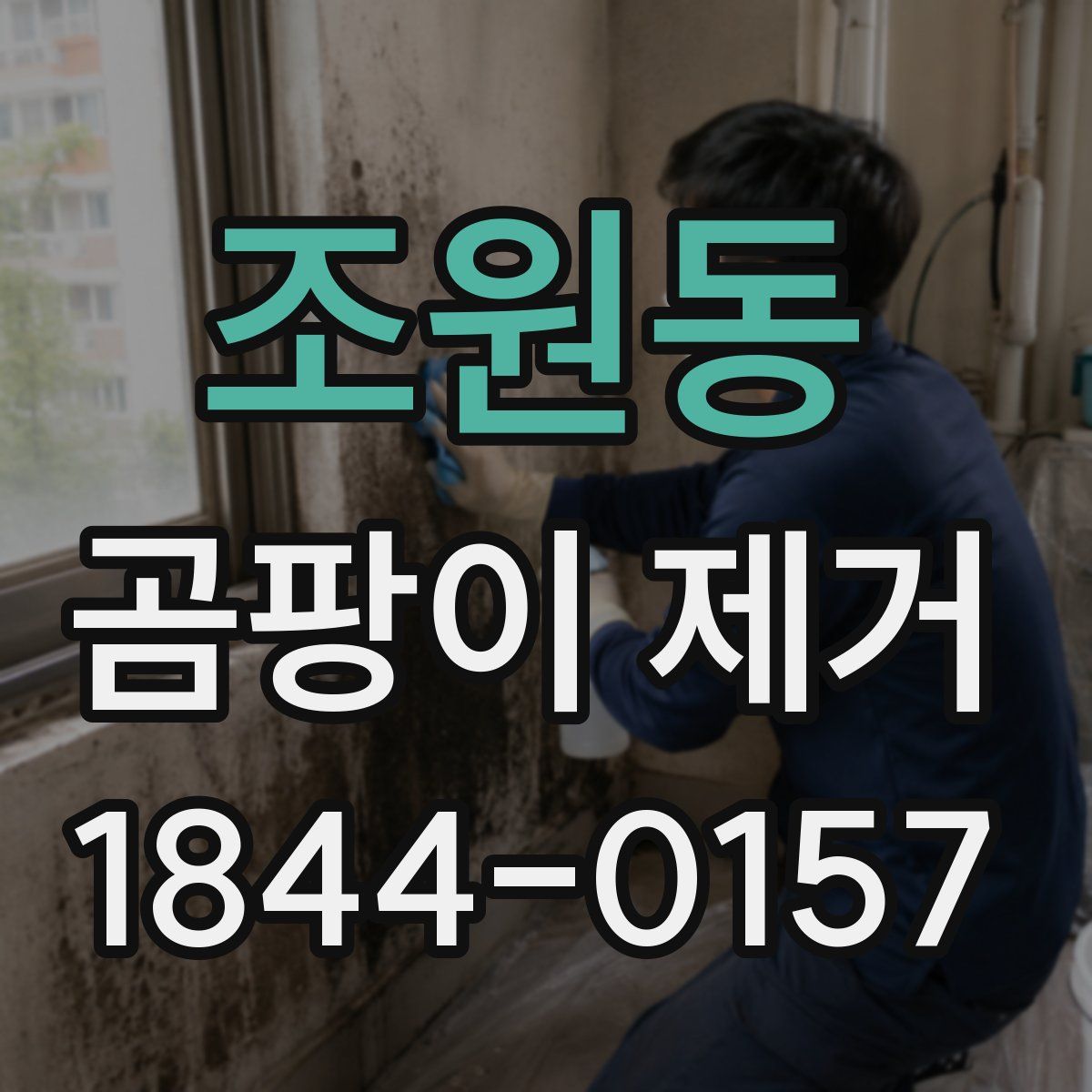 조원동 곰팡이 제거