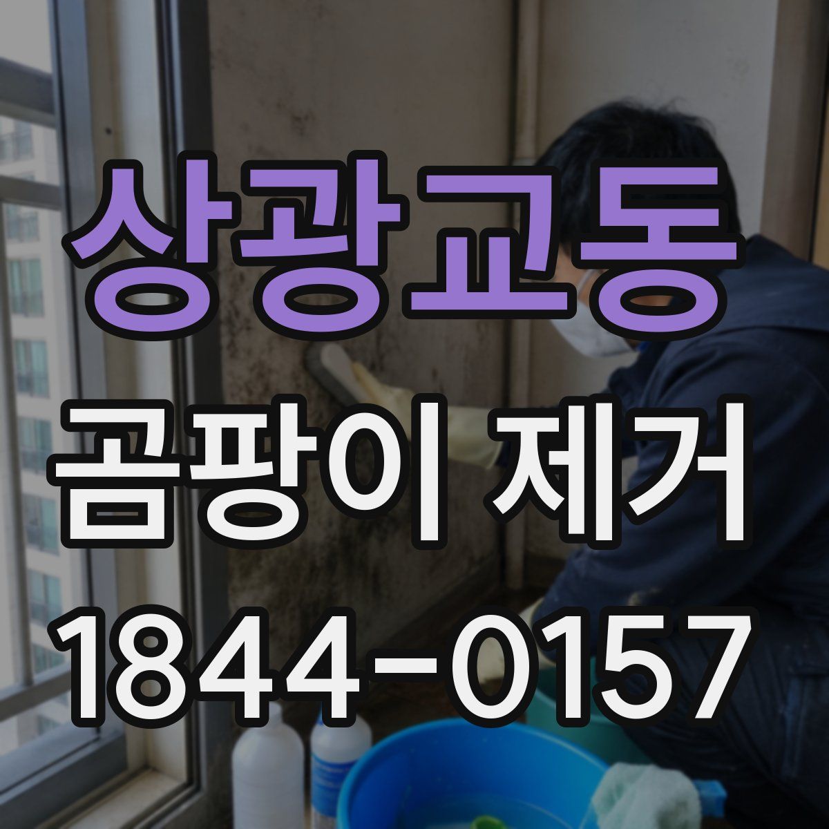 상광교동 곰팡이 제거