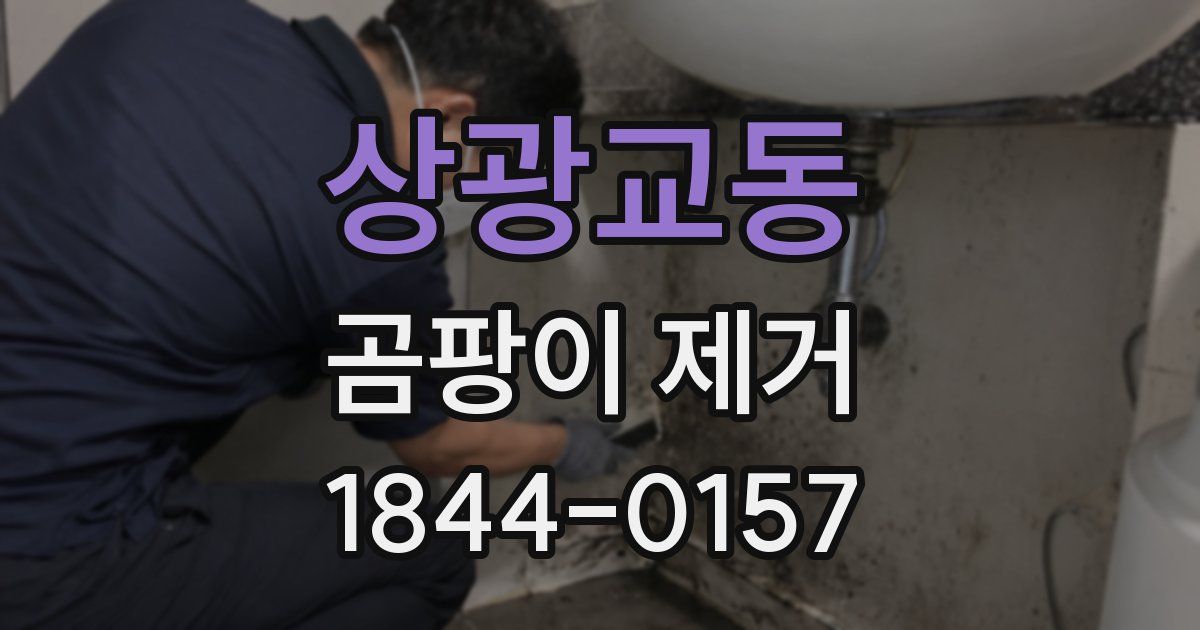 상광교동 곰팡이 제거