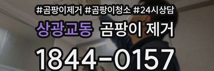 상광교동 곰팡이 제거