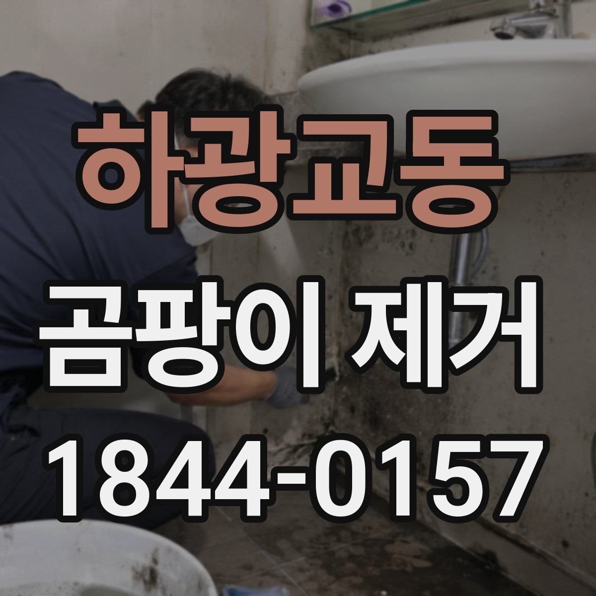 하광교동 곰팡이 제거