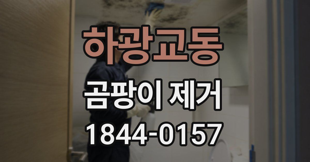 하광교동 곰팡이 제거