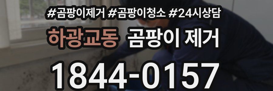 하광교동 곰팡이 제거
