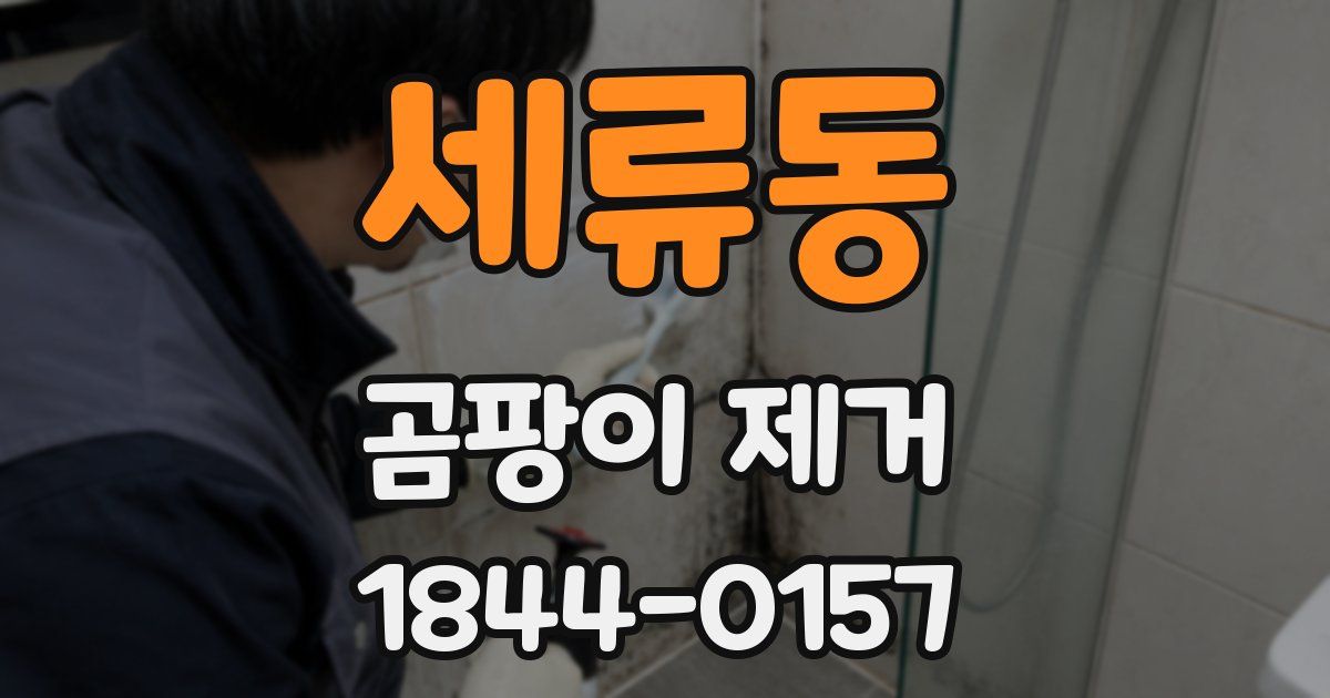 세류동 곰팡이 제거