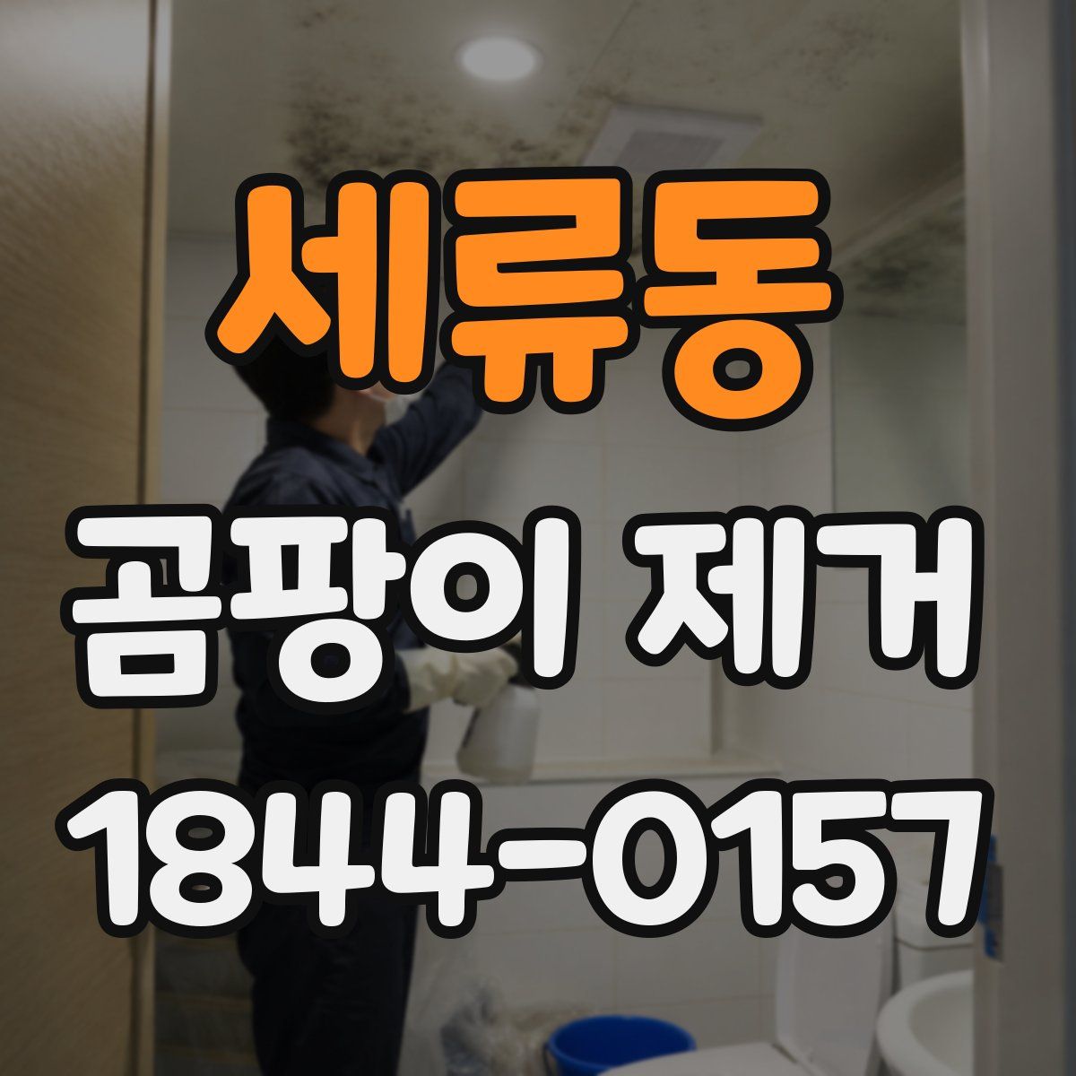 세류동 곰팡이 제거