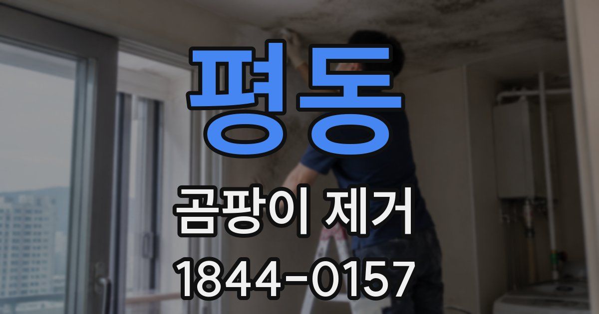 평동 곰팡이 제거
