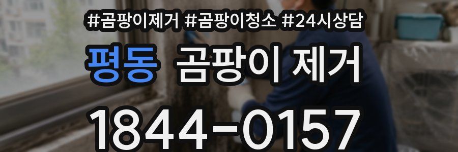평동 곰팡이 제거