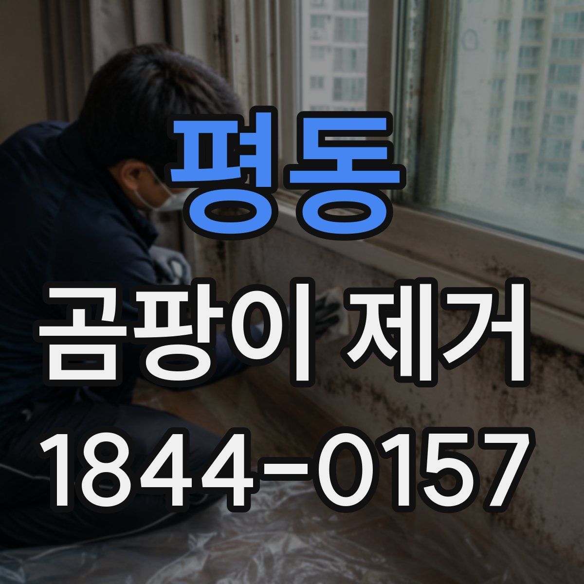 평동 곰팡이 제거