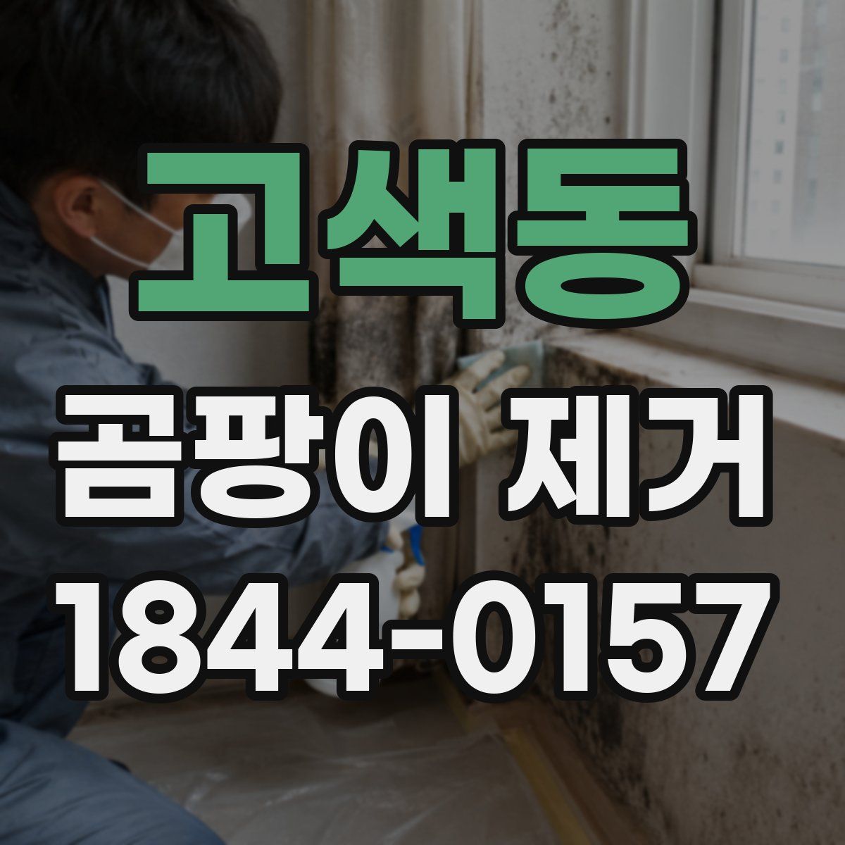 고색동 곰팡이 제거