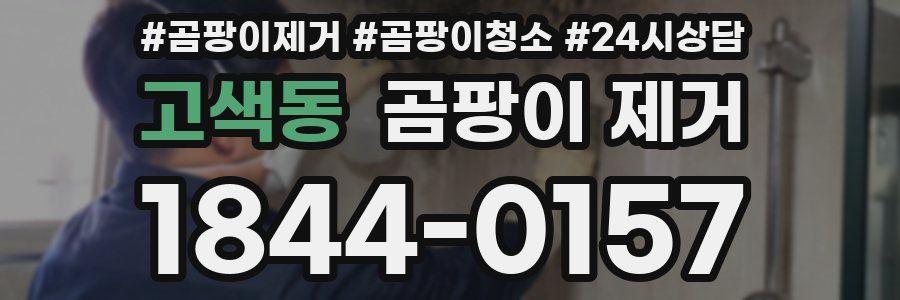 고색동 곰팡이 제거