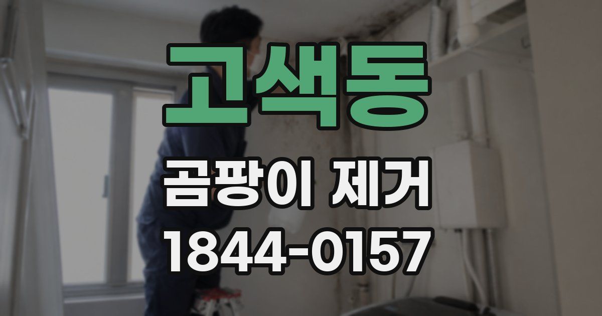 고색동 곰팡이 제거