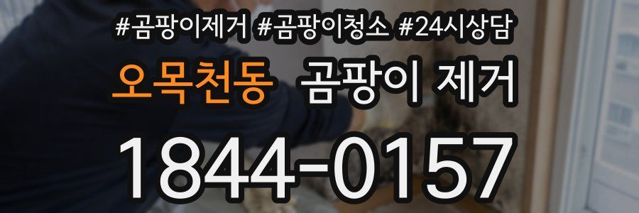 오목천동 곰팡이 제거