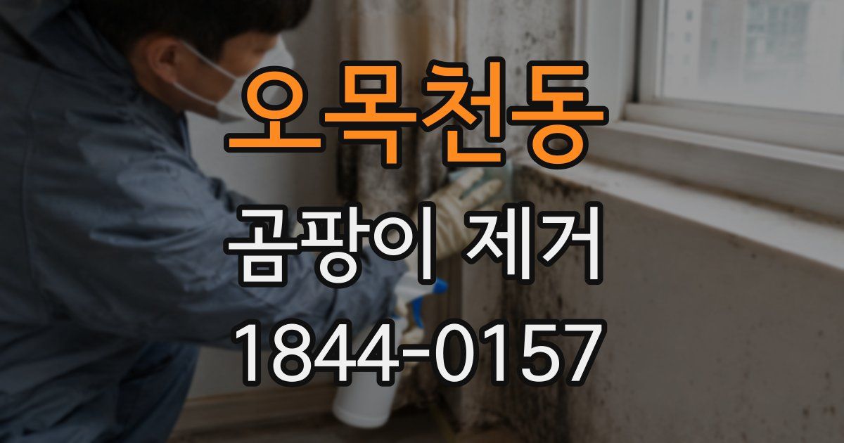 오목천동 곰팡이 제거
