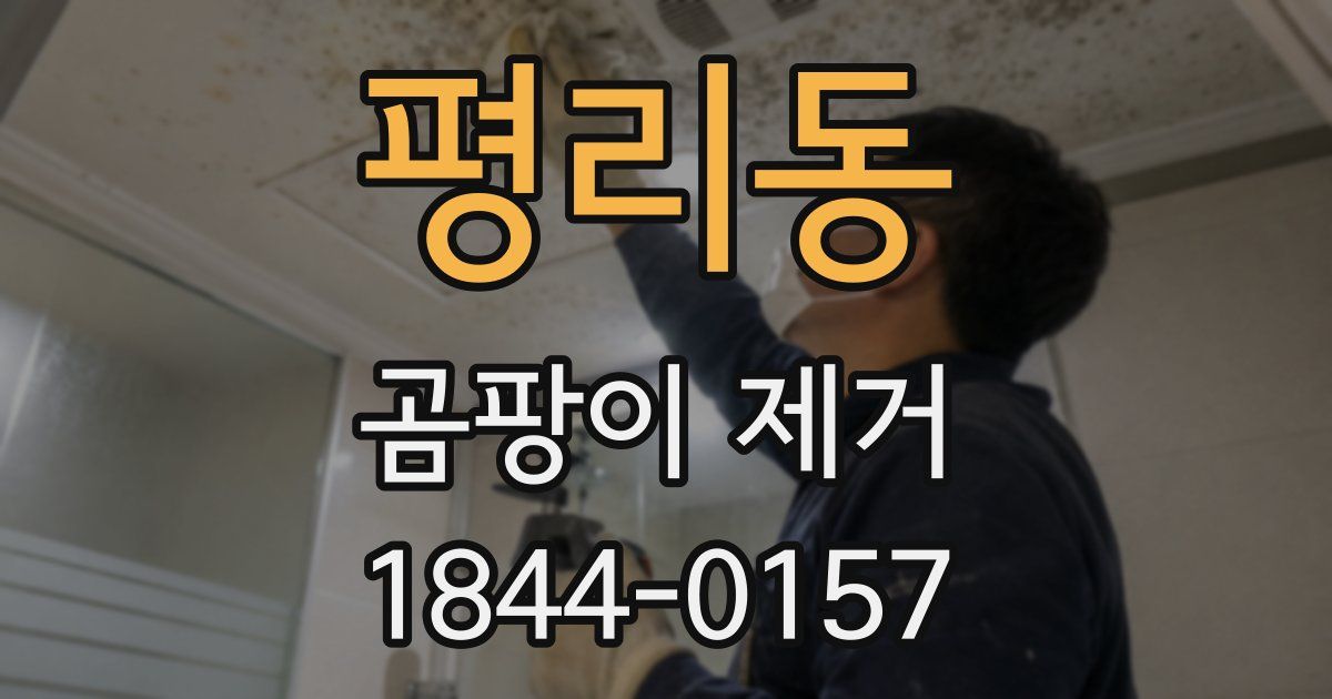 평리동 곰팡이 제거