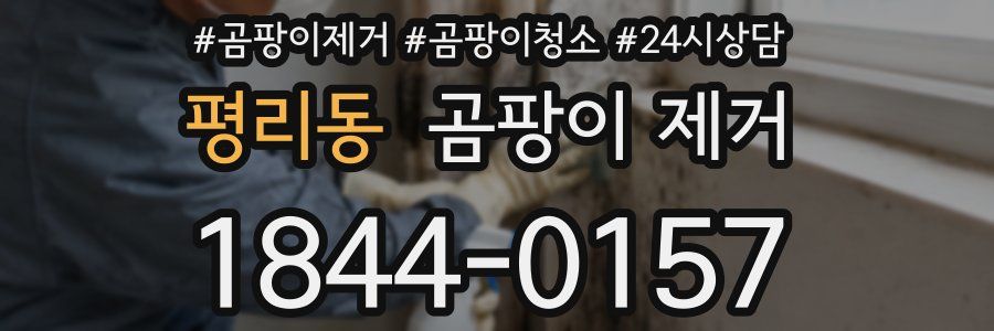 평리동 곰팡이 제거
