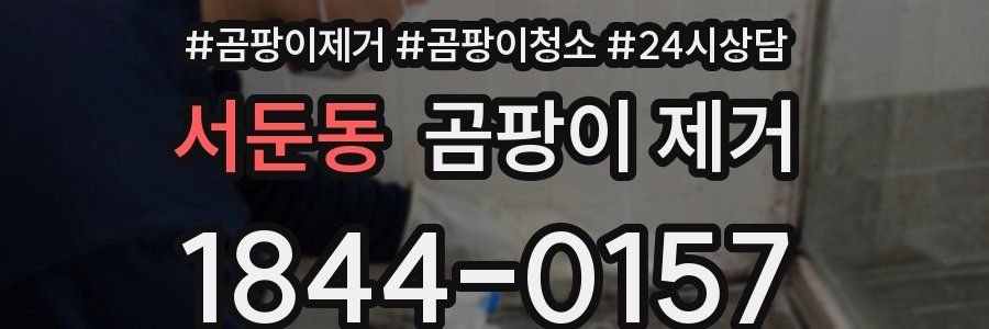 서둔동 곰팡이 제거