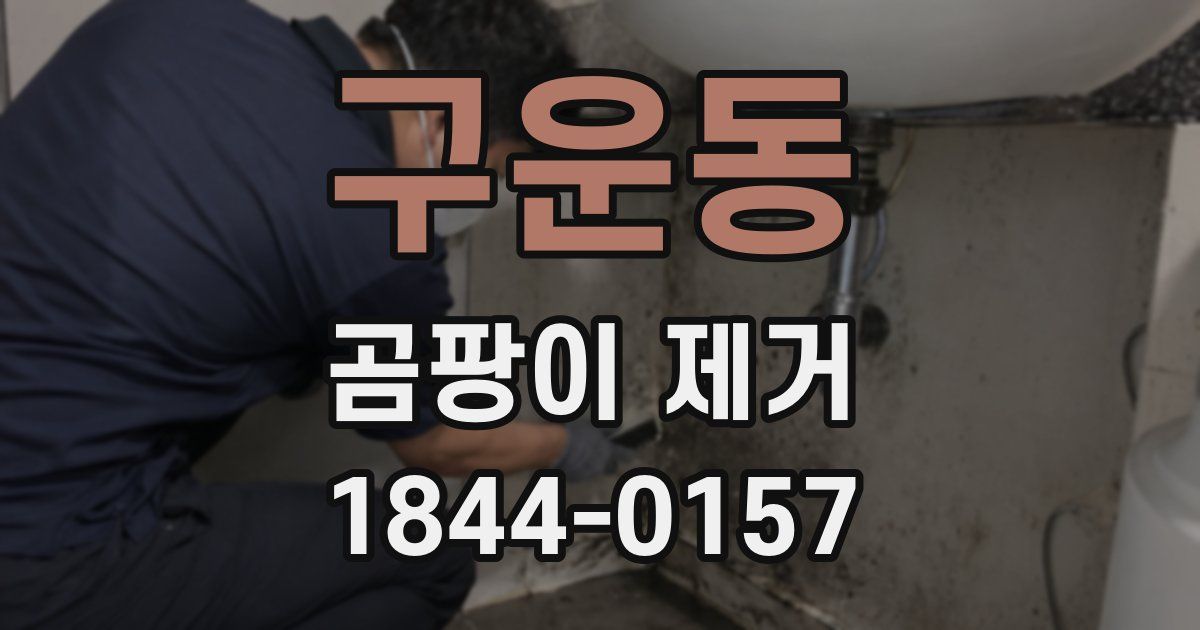 구운동 곰팡이 제거
