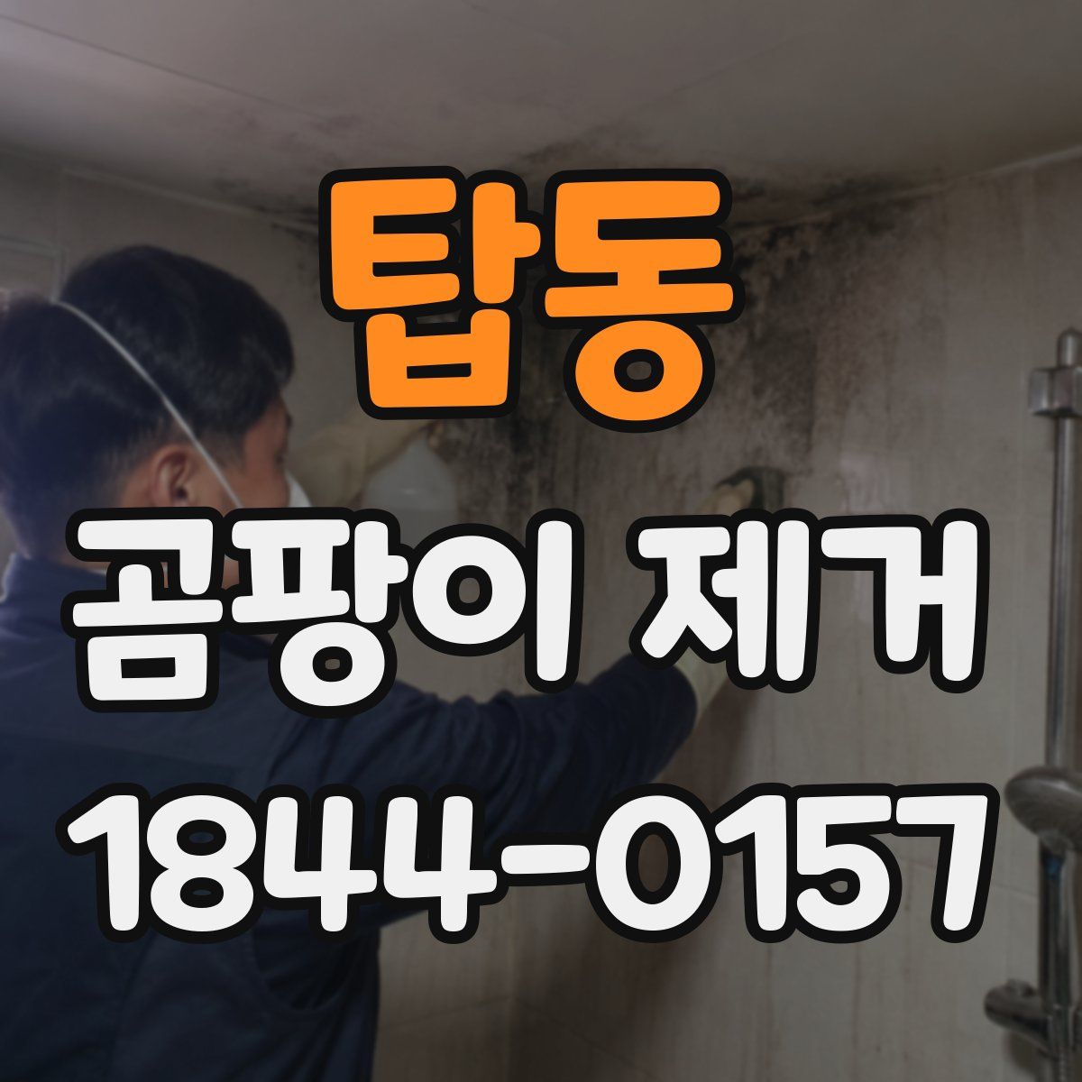 탑동 곰팡이 제거