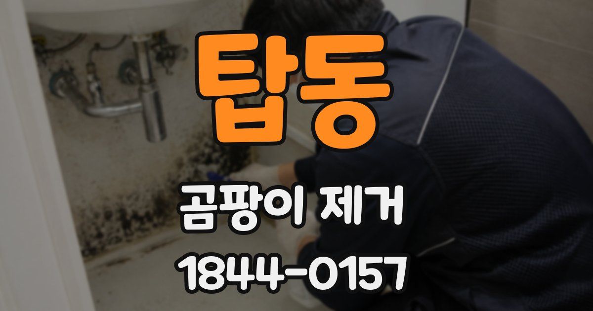탑동 곰팡이 제거