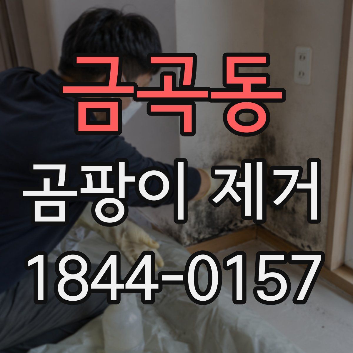 금곡동 곰팡이 제거