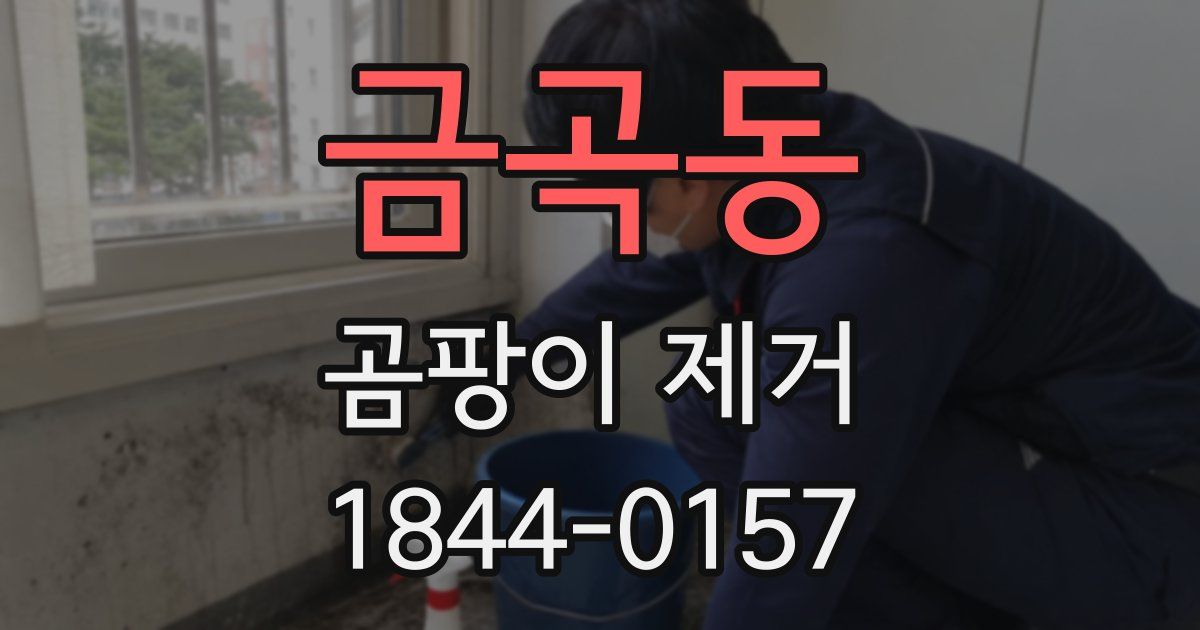 금곡동 곰팡이 제거