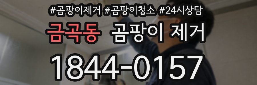 금곡동 곰팡이 제거