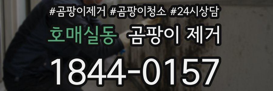 호매실동 곰팡이 제거
