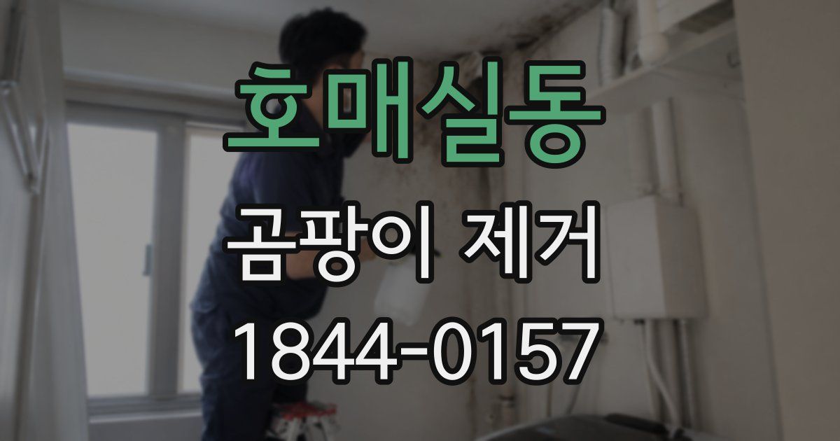 호매실동 곰팡이 제거