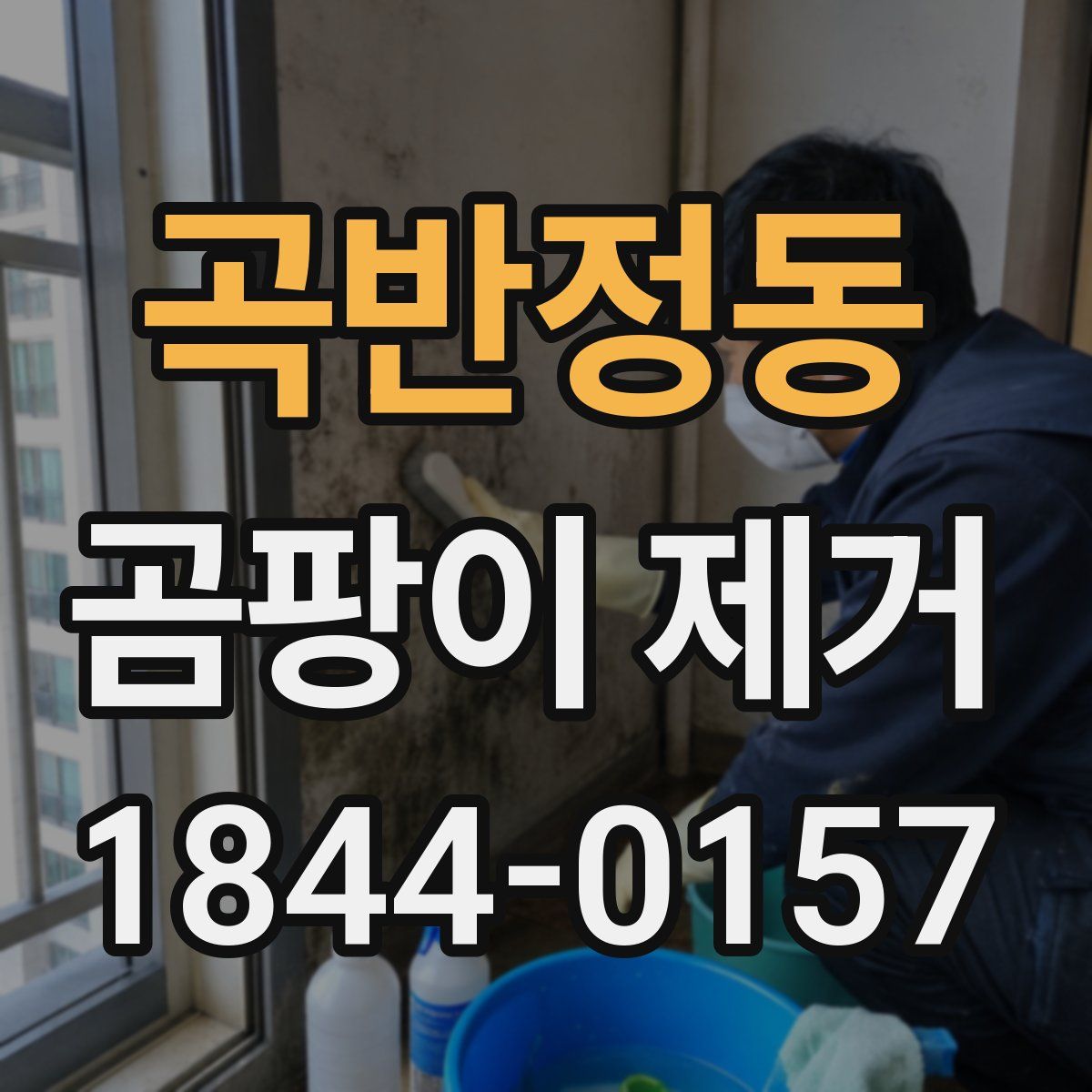 곡반정동 곰팡이 제거