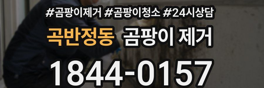 곡반정동 곰팡이 제거