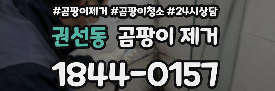 권선동 곰팡이 제거