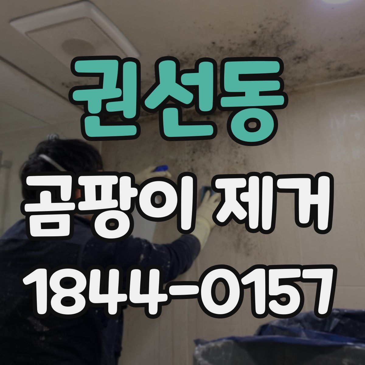 권선동 곰팡이 제거