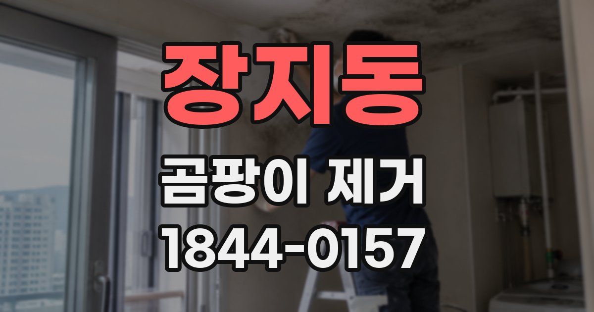 장지동 곰팡이 제거