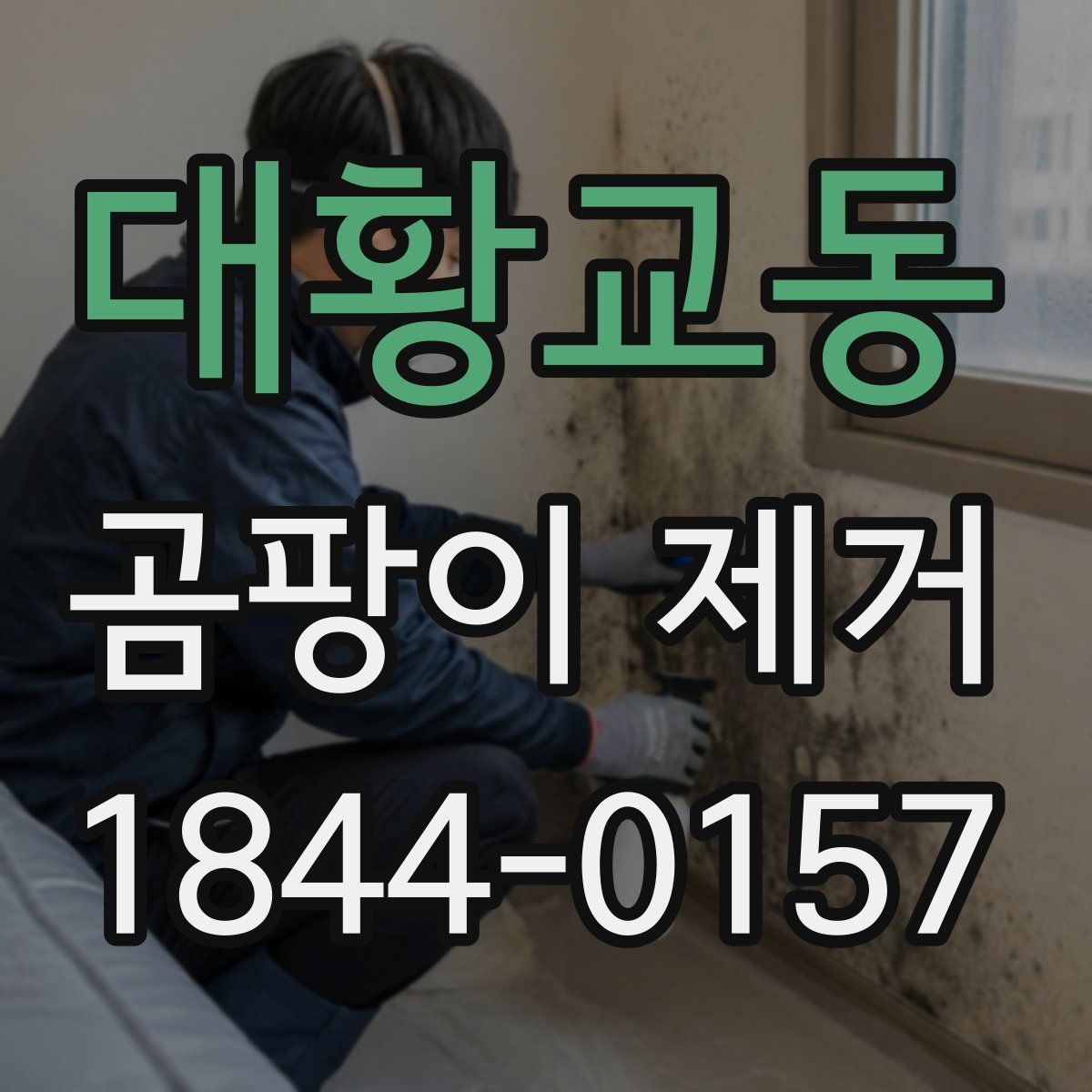 대황교동 곰팡이 제거