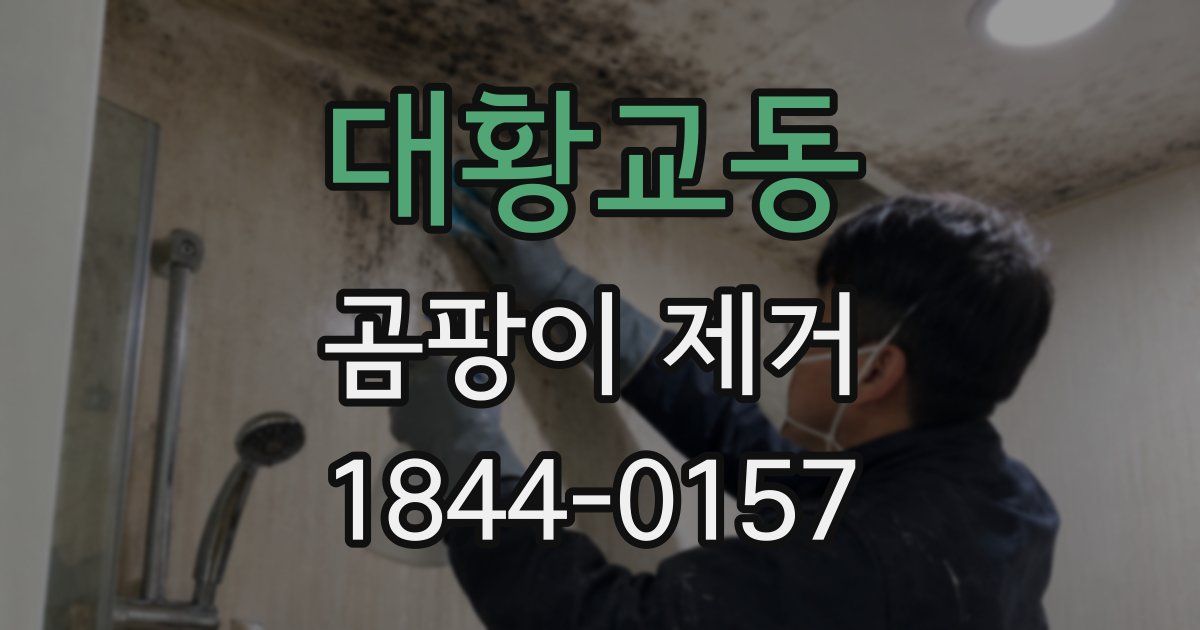 대황교동 곰팡이 제거