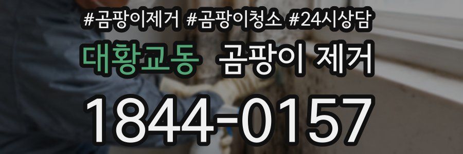 대황교동 곰팡이 제거