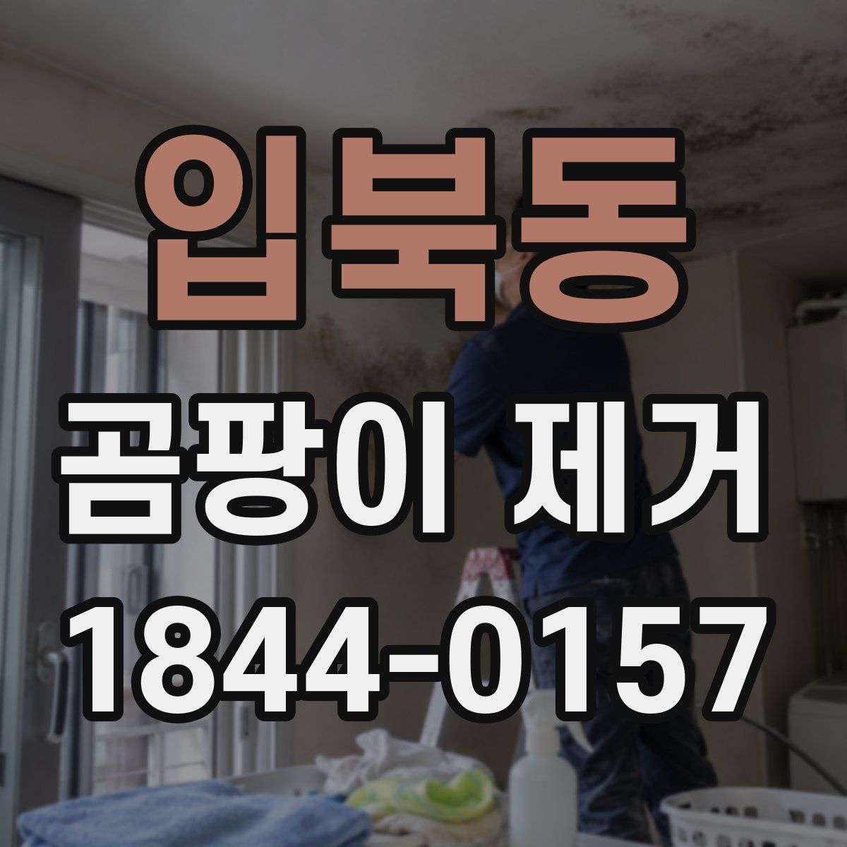 입북동 곰팡이 제거