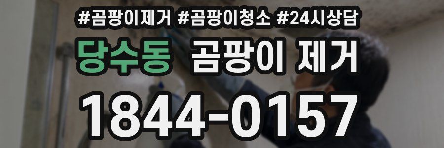 당수동 곰팡이 제거