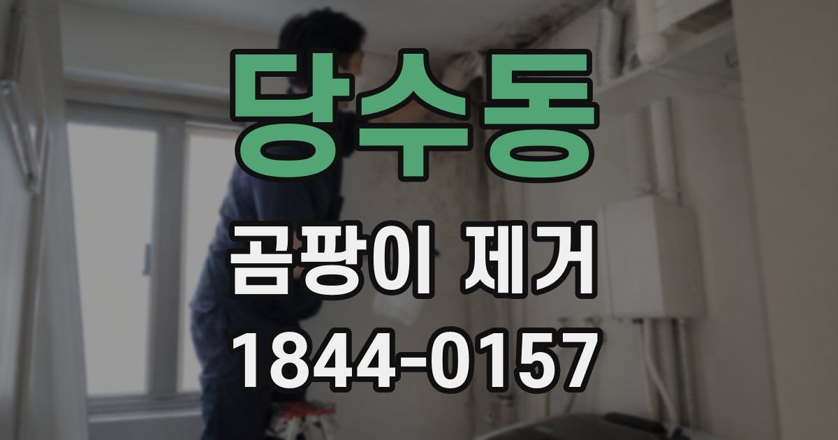 당수동 곰팡이 제거