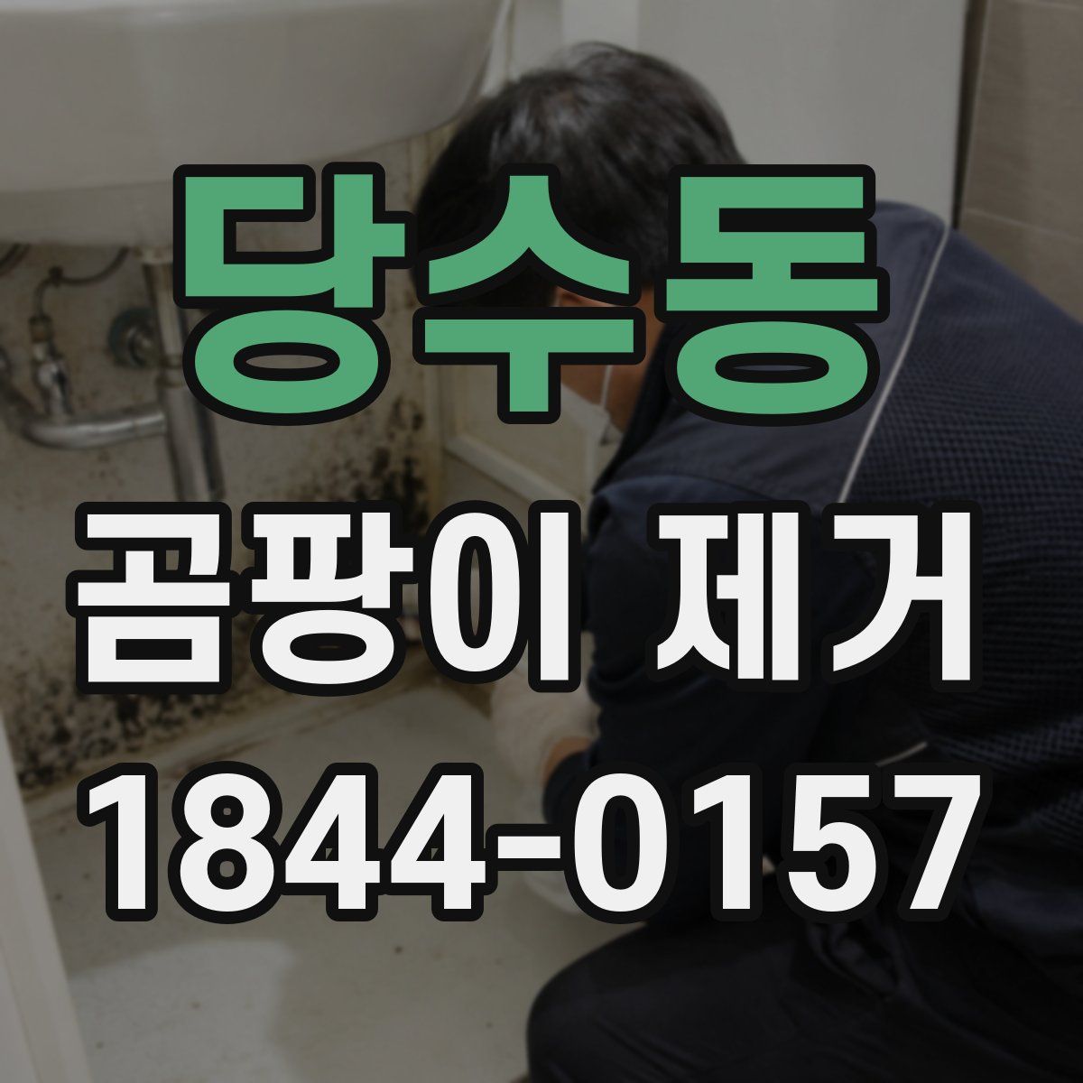 당수동 곰팡이 제거