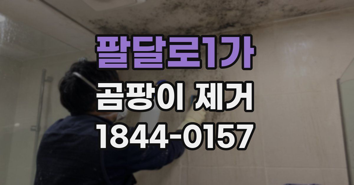 팔달로1가 곰팡이 제거