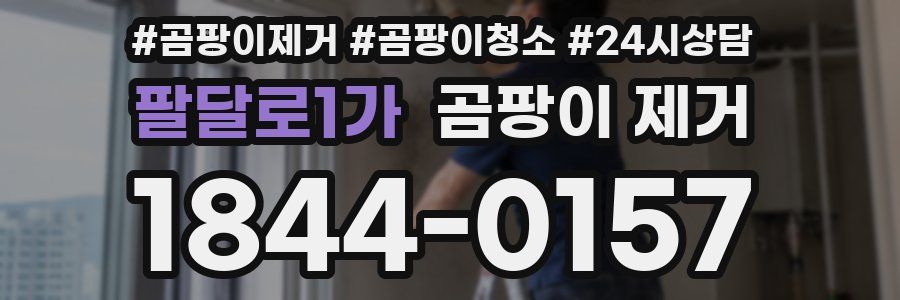팔달로1가 곰팡이 제거