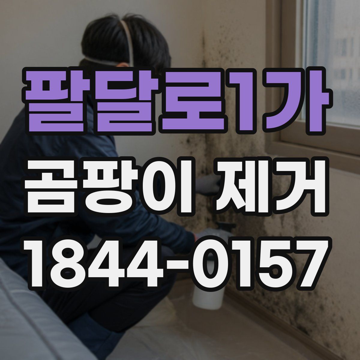 팔달로1가 곰팡이 제거