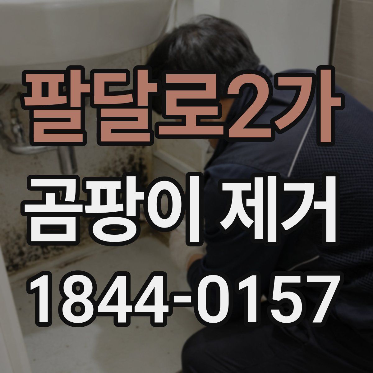 팔달로2가 곰팡이 제거