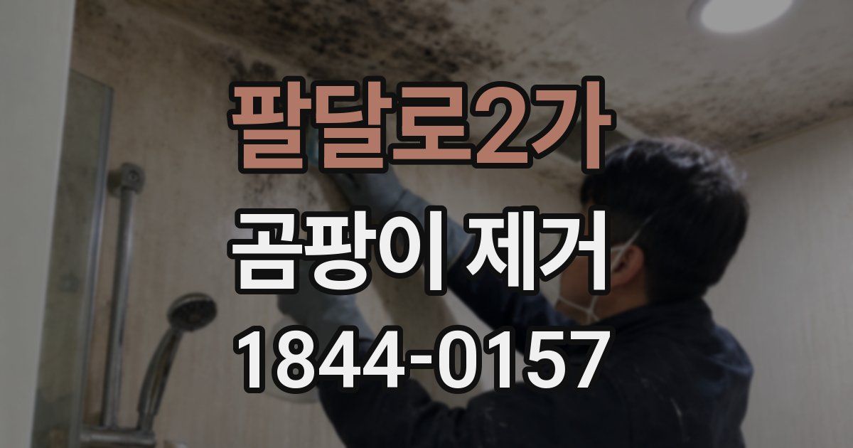 팔달로2가 곰팡이 제거