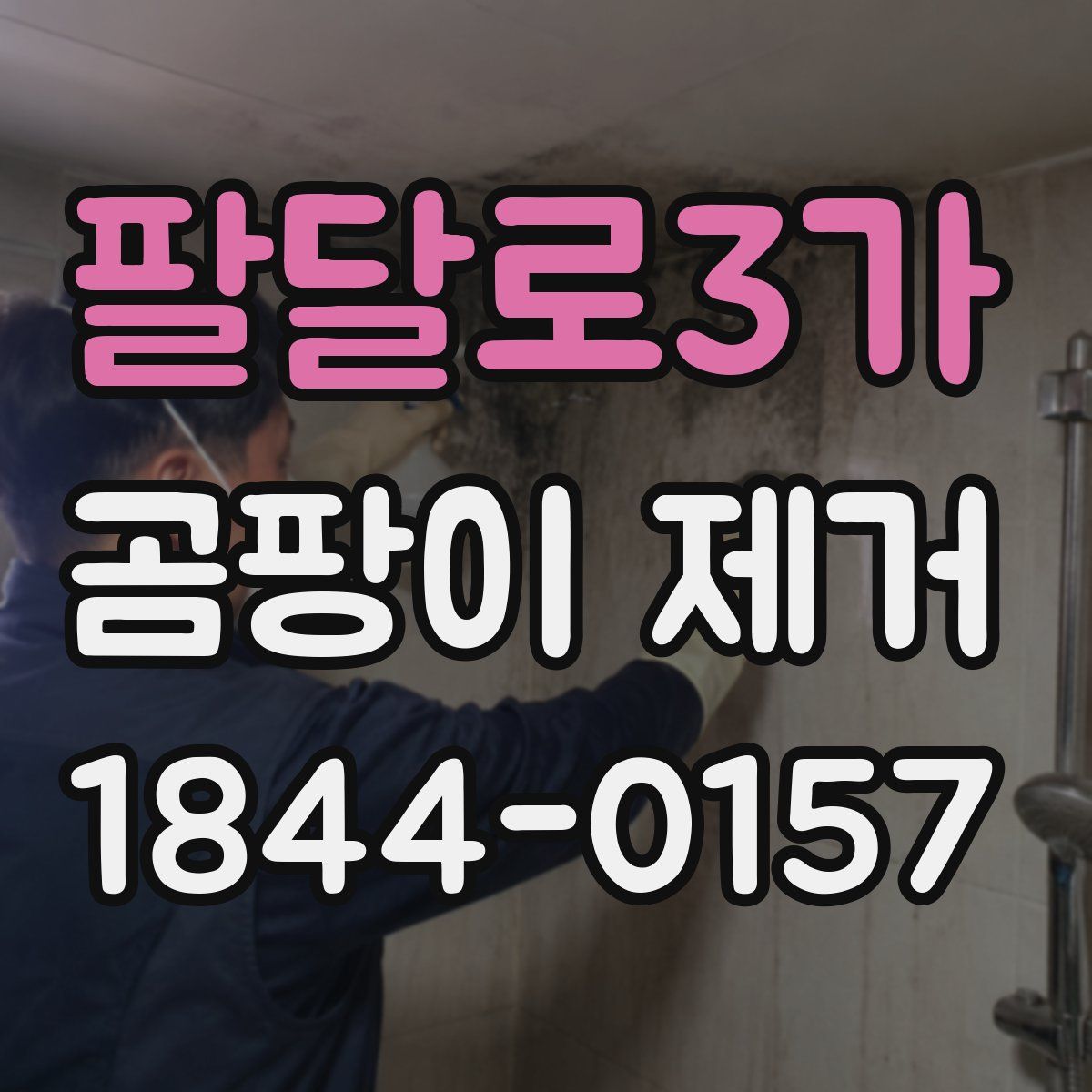 팔달로3가 곰팡이 제거
